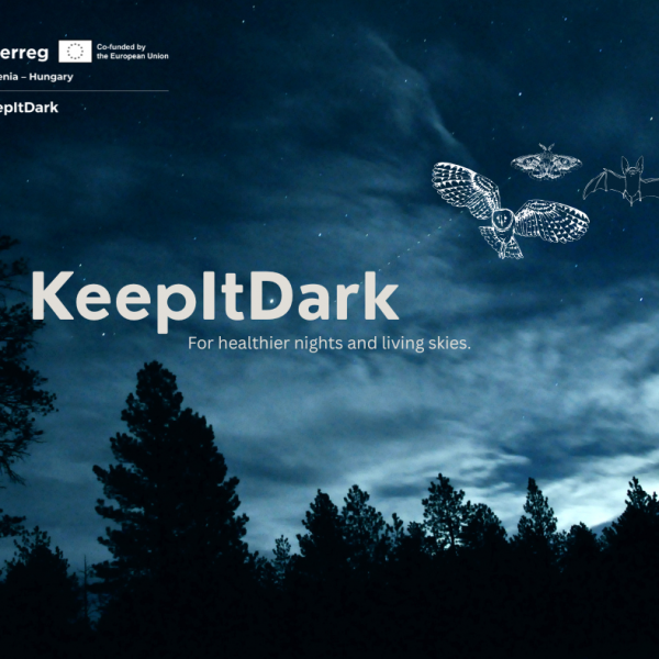 KeepItDark
