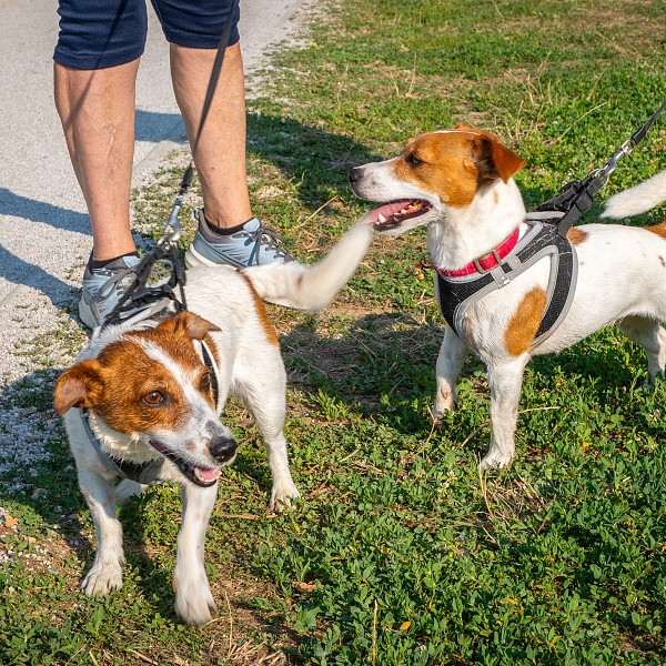 Poletni dan ob Soboškem jezeru navdušil številne obiskovalce 